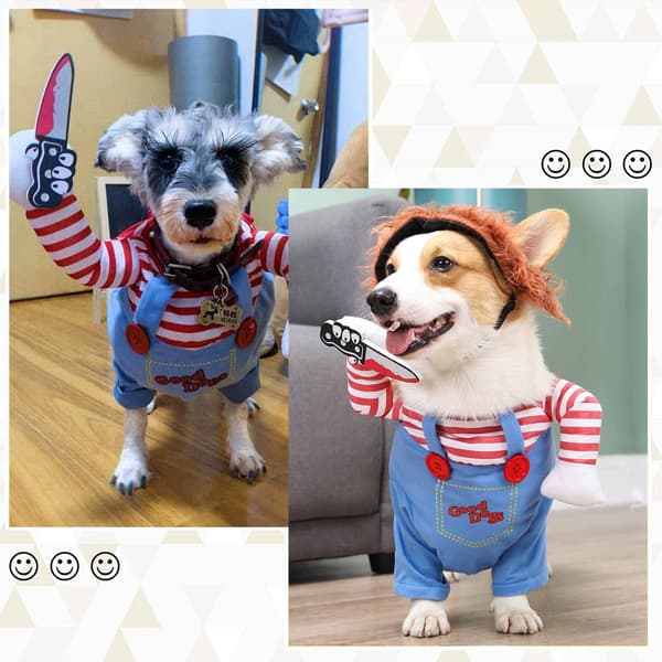 Dødeligt hundeoutfit, paryk og Halloween-kostume til kæledyr (XL)