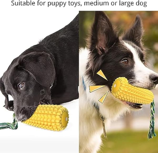 Hundleksak, O förstörbar Hundleksak, Bittålig Gummitandborste för Små Hundar