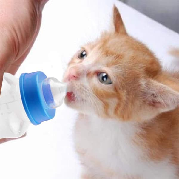 Sutteflaske til hvalpe, sutteflaske til nyfødte, sutteflaske til killinger, Velegnet til nyfødte dyr, 150 ml