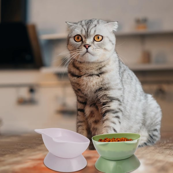 3 st Höjda Kattskålar Lutade Upphöjda Kattskålar Plast Kattskälar för Kattungar Tallrikar 15° Kattskälar Mat Vatten Skål