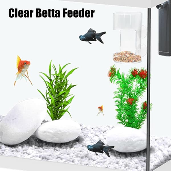 Gennemsigtig dispenser til Betta-fisk, foderrør, rejerrør, reje-foderkop