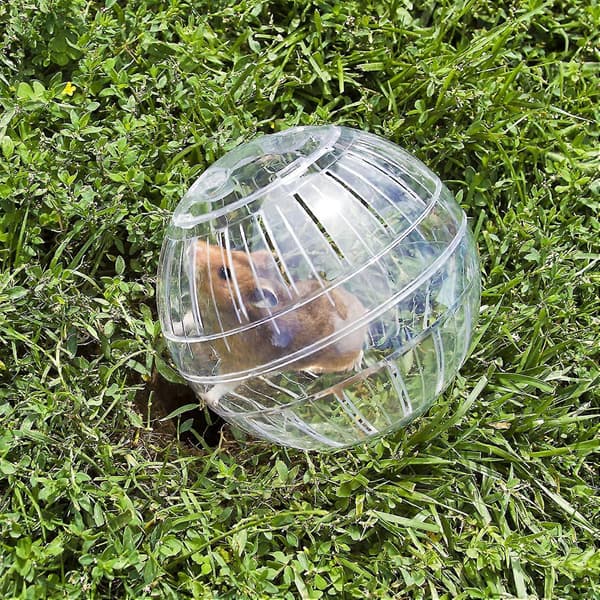 Hamsterboll, löparboll för hamstrar och möss, motion, gnagarleksak för löpning, plast, 15 cm, transparent