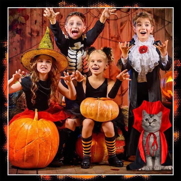 Kæledyr Halloween Kostume, Vampyrkappe til Katte, Halloween Outfit til Katte, Størrelse M