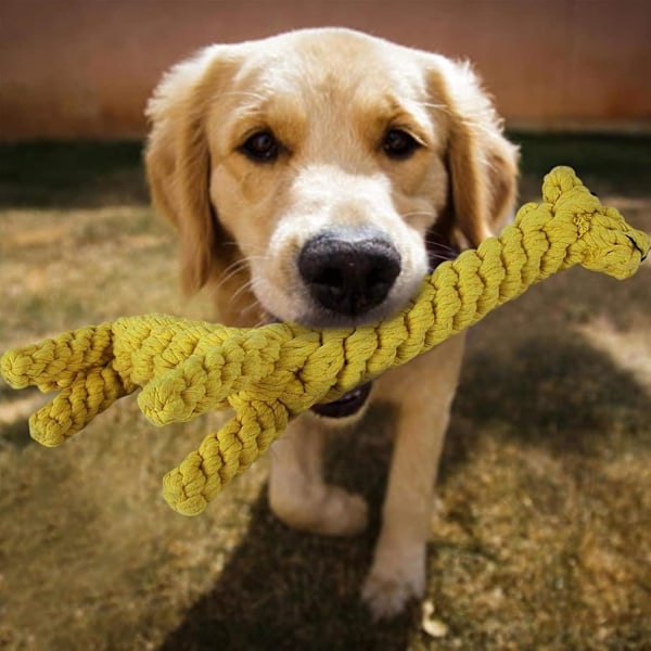 Hunde Kæledyr Hvalp Tygelegetøj - Tandfrembrud Kedsomhed Hunde Reb Bold Knude Træning Tænder Godbid Legetøj til Små og Mellemstore Hunde - Giraf og Hund