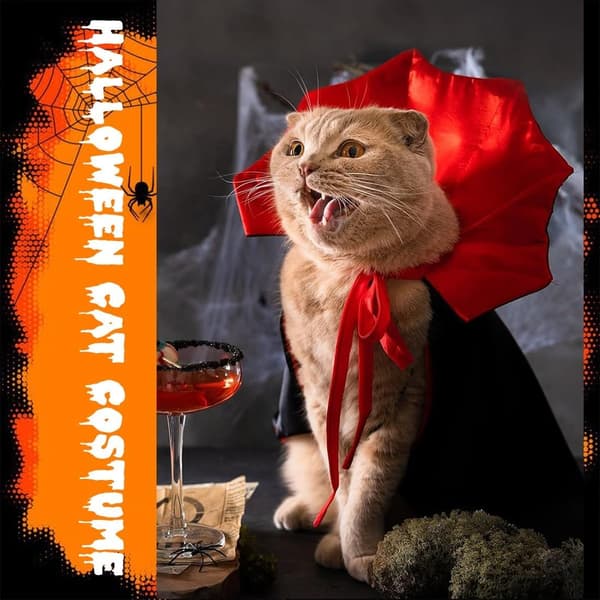 Kæledyr Halloween Kostume, Vampyrkappe til Katte, Halloween Outfit til Katte, Størrelse M