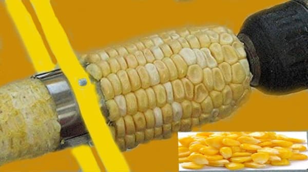 Maiskutter Skreller Tresker Rustfritt Stål Maisholdere Skreller