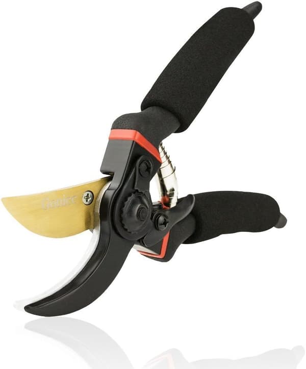 Profesjonell Premium Titanium Bypass Beskjæringssaks, Håndsaks, Hageklipper. (Bypass)