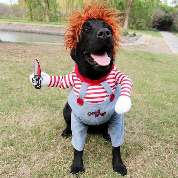 Halloween-kostume til hunde, Deadly Doll Cosplay, jule- og festtøj til kæledyr (M)