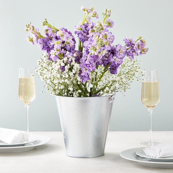 Galvaniserte metallbøtter med håndtak, øl, isbiter, vin, champagne, fest, midtstykker, 15 cm