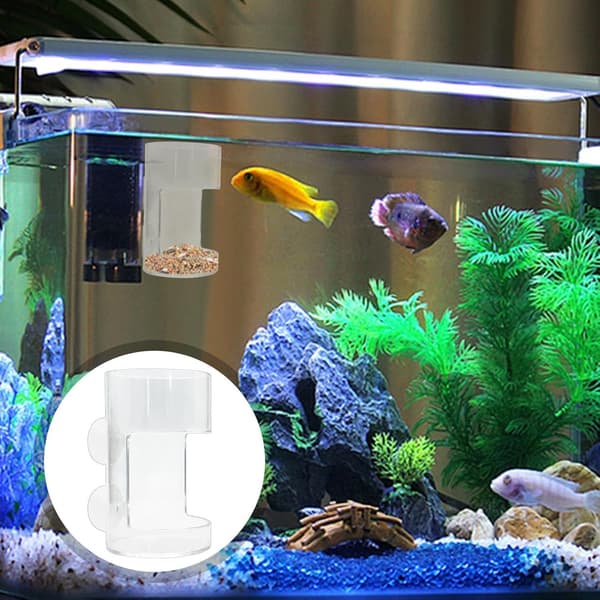 Gennemsigtig dispenser til Betta-fisk, foderrør, rejerrør, reje-foderkop