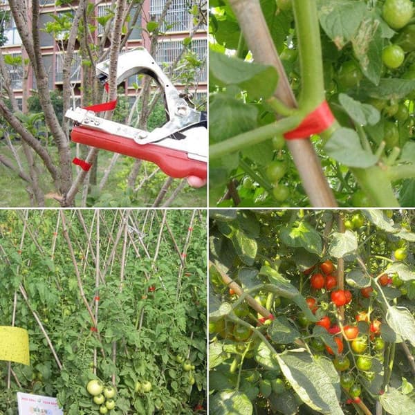 Växtbindningstång, Grenbindningsmaskin, för Tomater Vingårdar Fruktträd Grönsaker, Röd