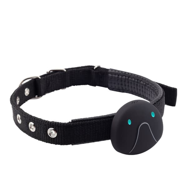 GPS Kat Hundehalsbånd GPS Tracker sort
