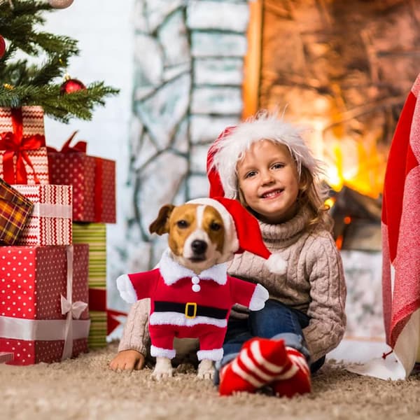 Julekostume til kæledyr, Julekostume til kat, Juletøj til kæledyr, Julekostumer til hund, til fest, jul (M)