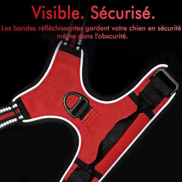 Hundleksak - Solid - Röd - Justerbar - Reflekterande - Anti-drag Röd