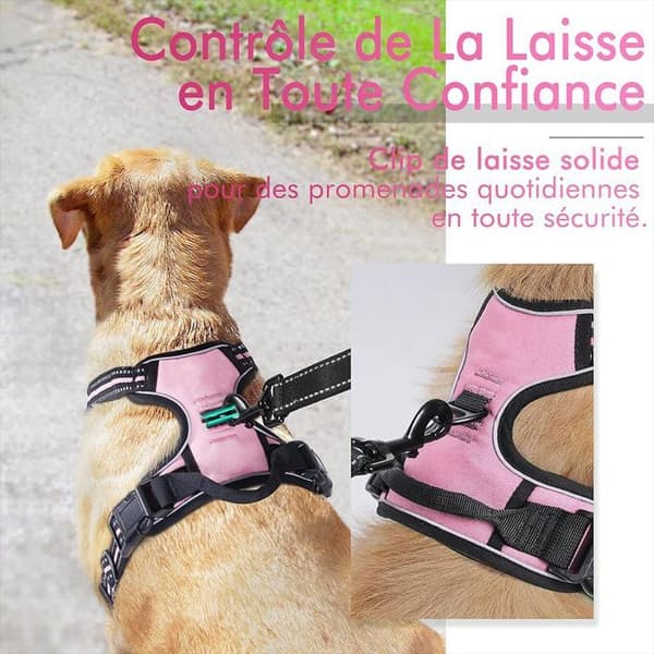 Hundselar - Obestämd - XL - Justerbar - Lätt - Reflekterande Rosa