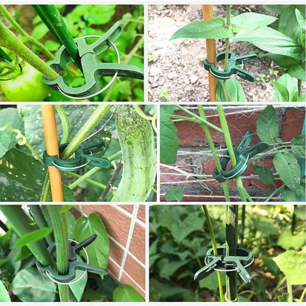 Plant Clips / Clips for Plant Support Trellis 50-pack 4.5cm x 6cm