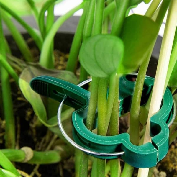 Plant Clips / Clips for Plant Support Trellis 50-pack 4.5cm x 6cm