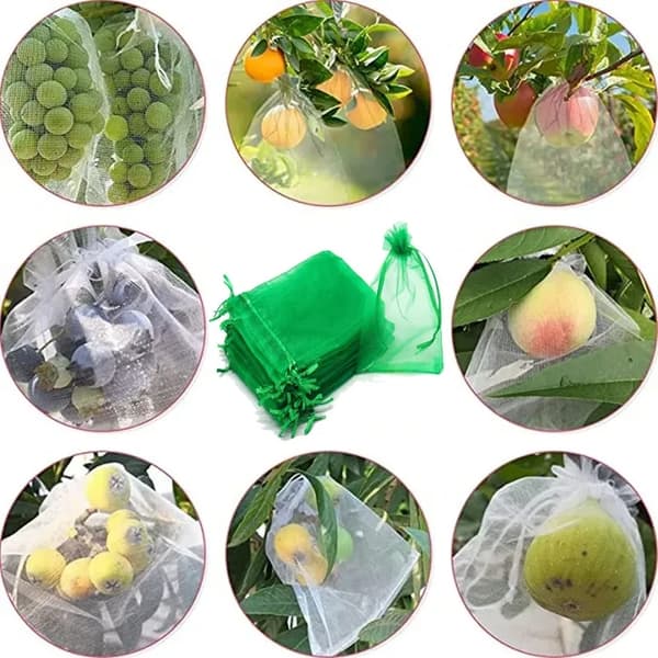 100-pack Fruit Protection Net with Drawstring - Reusable Growing Bags in Green, Multiple Sizes Available 7 x 9cm