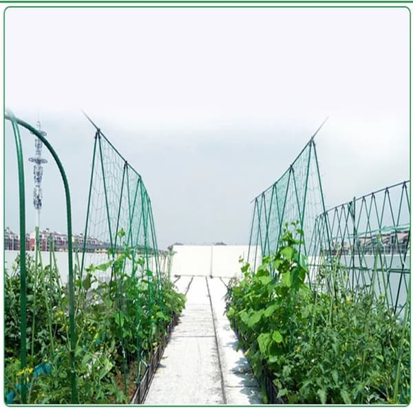 Plant net / Support net for plants - Climbing net for plant climbing 1.8 x 1.8 m