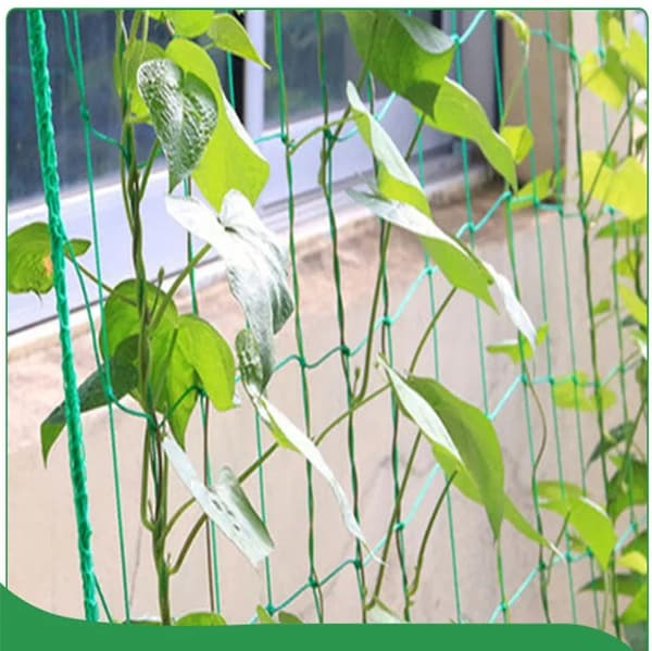 Plant net / Support net for plants - Climbing net for plant climbing 1.8 x 1.8 m