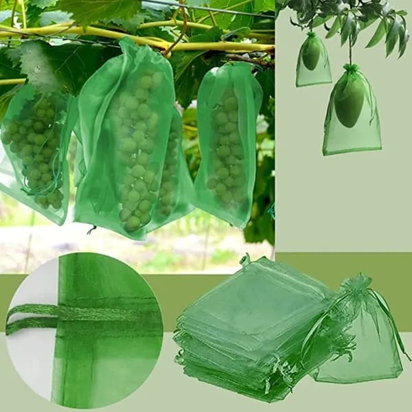 100-pack Fruit Protection Net with Drawstring - Reusable Growing Bags in Green, Multiple Sizes Available 7 x 9cm