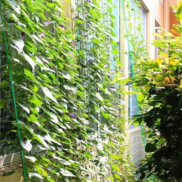 Plant net / Support net for plants - Climbing net for plant climbing 1.8 x 3.6 m