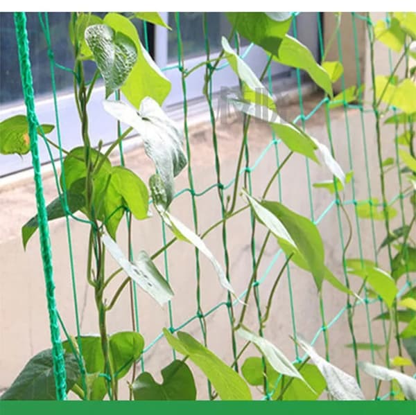 Plant net / Support net for plants - Climbing net for plant climbing 1.8 x 3.6 m