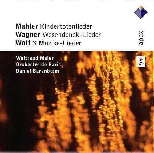 Gustav Mahler Kindertotenlie derWagner Wesendonck-Lie der... CD CD CD