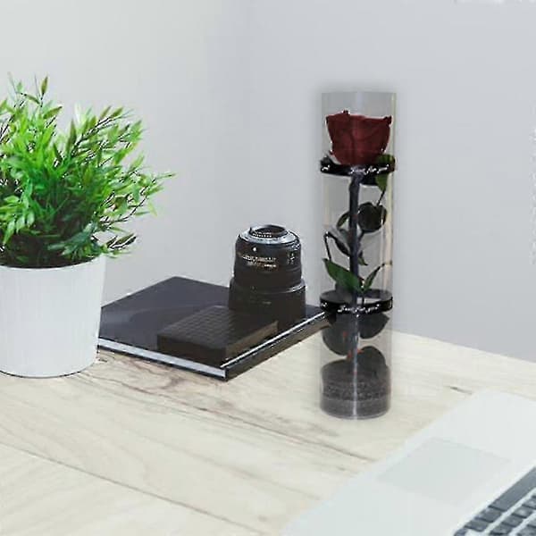 Evigt blomstrende rose, holdbar rose til glaskuppeldekoration og minde Claret
