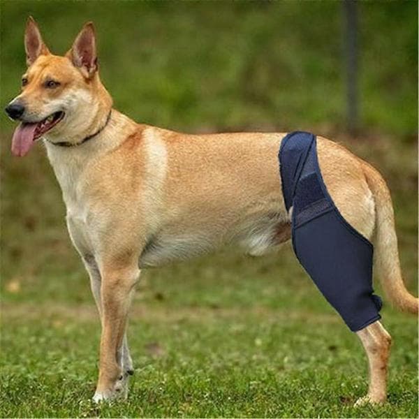 Hundebensbeskyttelse til bagben til sårheling og forebyggelse af slikken/bidden, justerbar åndbar pasform (M) En storlek