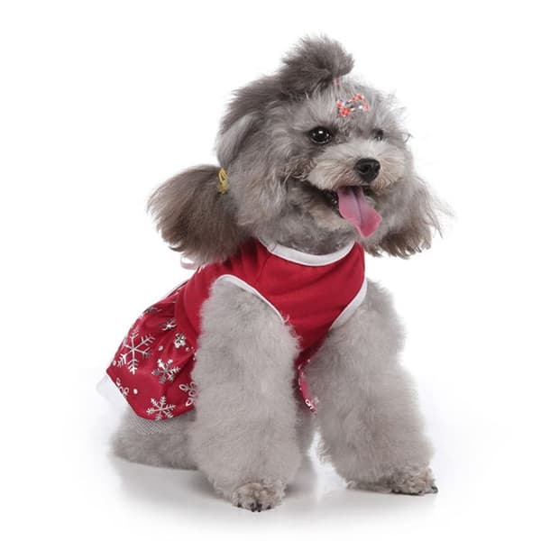 Hunde- og kattekostume, Halloween, jul og temafest-outfits, snefnugkjoler med sløjfe