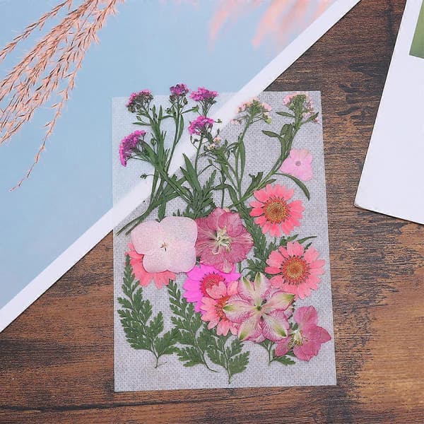 Håndlaget blomstermateriale Blomsterplanter Prøve til dekorasjon 1 sett [zd]