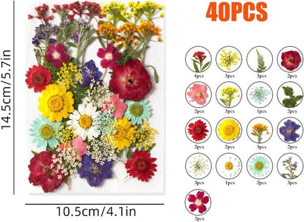 40 stykker blandede naturlige pressede blomster, DIY tørrede blomster sæt