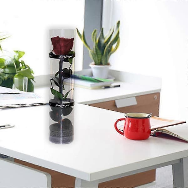 Evigt blomstrende rose, holdbar rose til glaskuppeldekoration og minde Claret