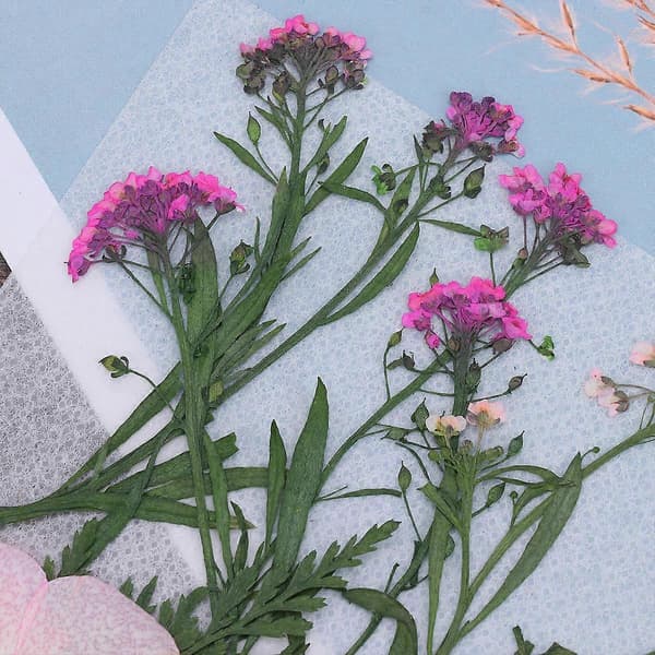 Håndlaget blomstermateriale Blomsterplanter Prøve til dekorasjon 1 sett [zd]