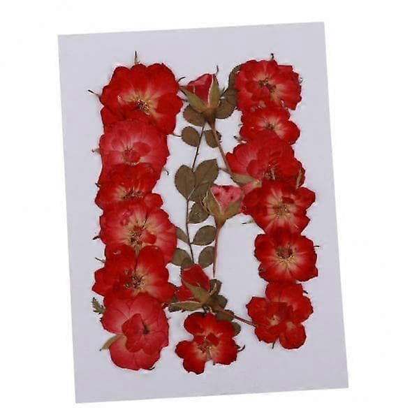 2x Multipakke Ægte Rose Pressede Tørrede Blomster Grene Blade Kronblade[zd]