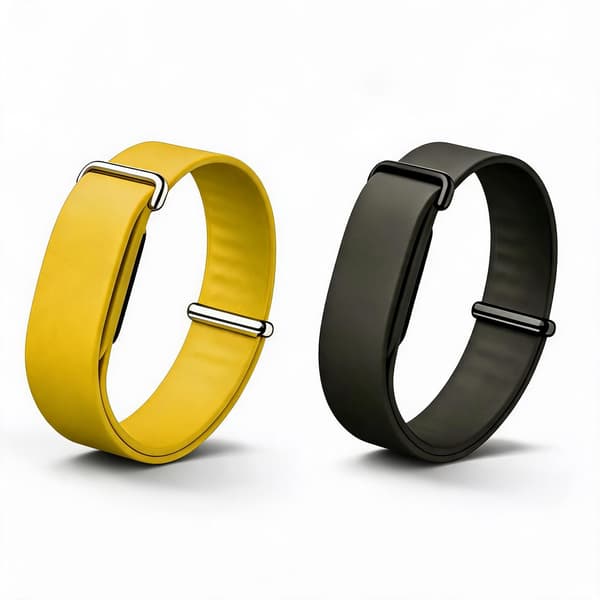 2 urremme til Google Fitbit Air
