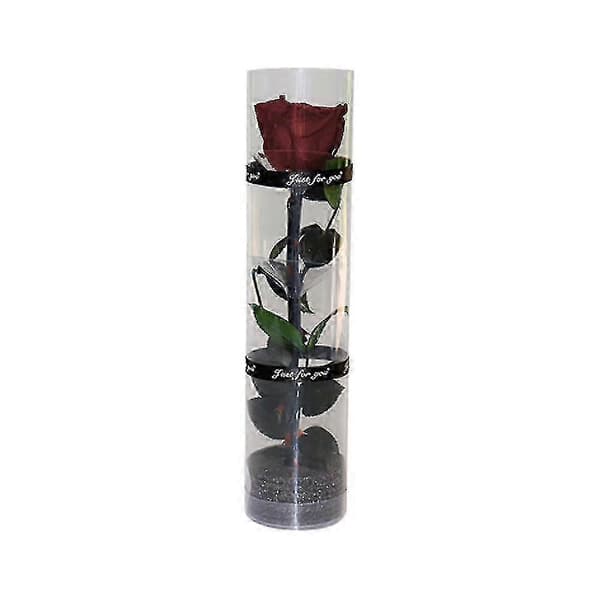 Evigt blomstrende rose, holdbar rose til glaskuppeldekoration og minde Claret