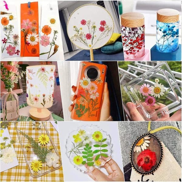 40 stykker blandede naturlige pressede blomster, DIY tørrede blomster sæt