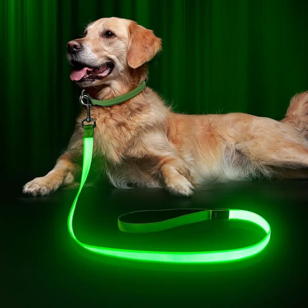 [zd]LED Hundebånd Lysende 1,2 meter USB Oppladbar Nylon Webbing Glød Sikkerhet Standard Grønn)