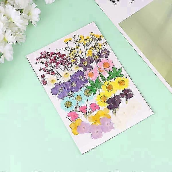 XYCY-42stk Tørret Blomst[zd] 19.5x13cm