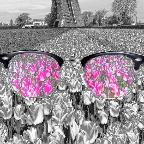 [zd]Farveblinde briller til mænd Farveblinde briller både udendørs og