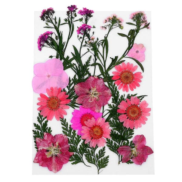 Håndlaget blomstermateriale Blomsterplanter Prøve til dekorasjon 1 sett [zd]