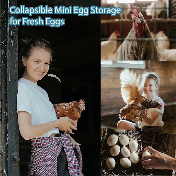 Eggkurv, sammenleggbar mini-eggoppbevaring for egg - kan enkelt laste egg for transport og innsamling