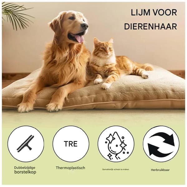 Fjerner af dyrehår, katte-/hundehårsfjerner til sofa/bil/tæppe/tøj, bærbar, orange