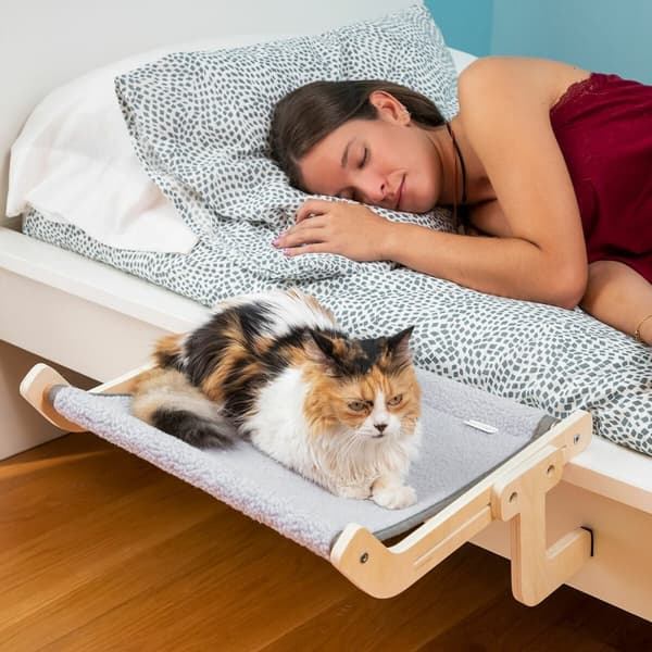 Cat Hammock