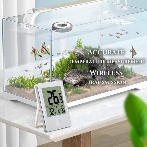 Trådløs flytende bassengtermometer med LED-display