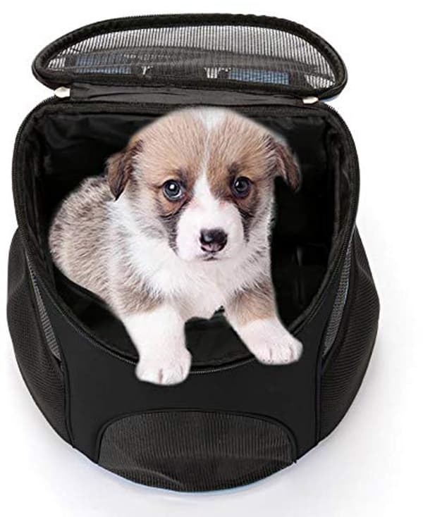 Kæledyrsrygsæk, 4 ventilationsvinduer, 180° åbning, foldbar polyester, små hunde og katte op til 5 kg, rejse, sort