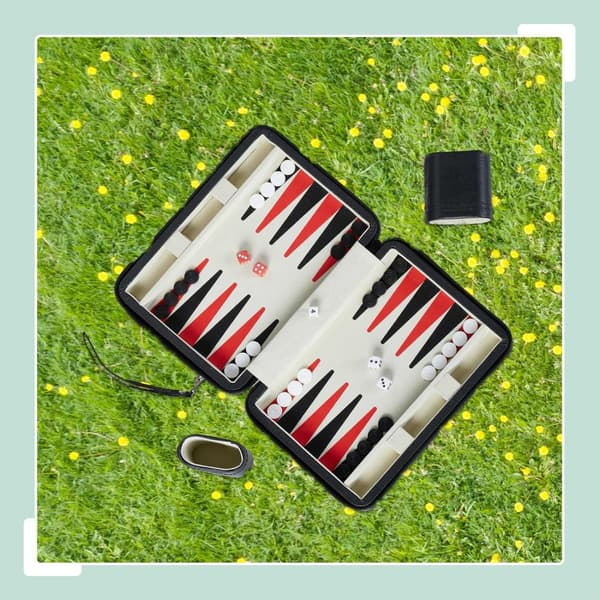 Backgammon Travel Game