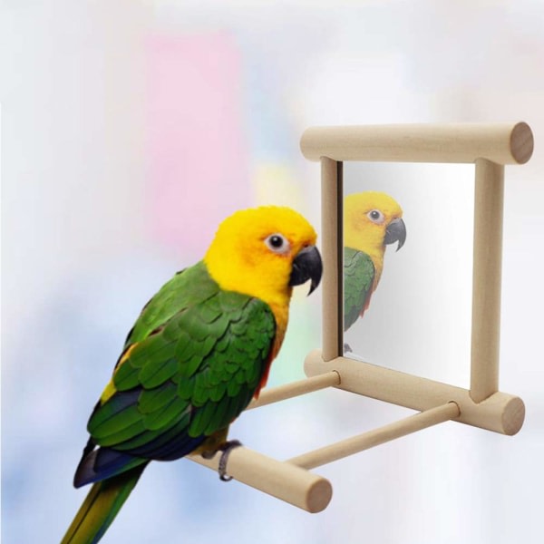 2 st papegojfågelspegel, fågelstativ abborre med spegel